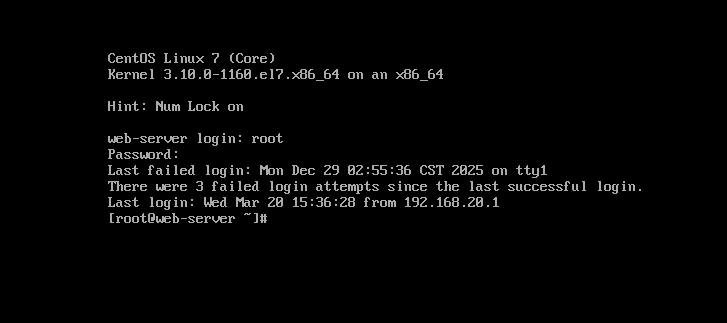 image-20251228190307790