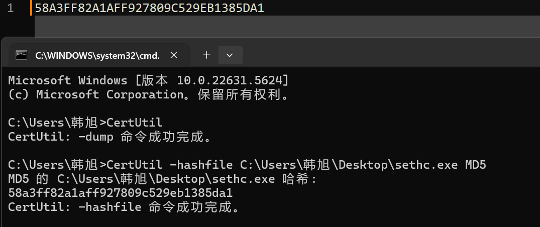 image-20251229005200070